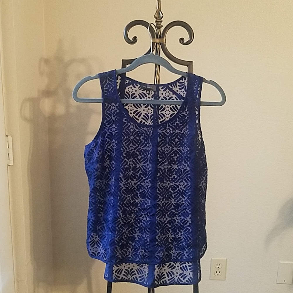 The Limited Sheer Navy Blue Blouse